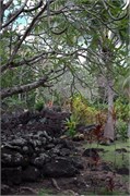 Papeete_DSC_7564