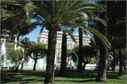 Nice_2009_N_84