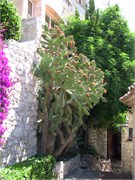 Eze_2009_7