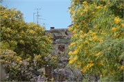 Barcelona_2009_34