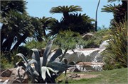 Barcelona_2009_9