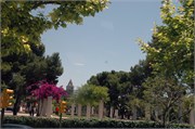 NikonD70_06122009_Palma_71