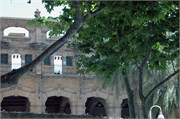 Palma_2009_14