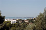 Palma_2009_28