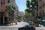 Palma_2009_8