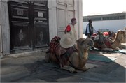 Tunis_2009_26