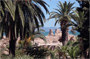 Tunis_2009_34