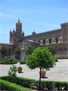 IMG_0587