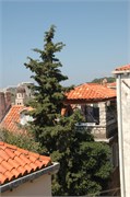 Dubrovnik_2009_56