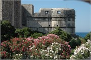 Dubrovnik_2009_70