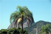 Rio_03222010-_ADSC_9999
