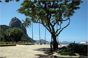 Rio_03232010-_ADSC_0115
