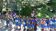 Rio_03242010-_IMG_1725