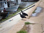 Santarem_04072010-P4070019