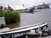 Santarem_04072010-P4070023