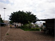 Santarem_04072010-P4070048