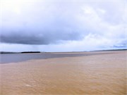 Manaus_04102010-IMG-8