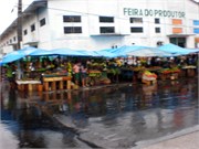 Parintins_04112010-P4110007