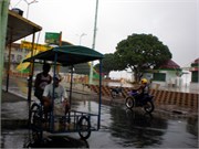 Parintins_04112010-P4110021
