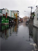 Parintins_04112010-P4110024