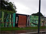 Parintins_04112010-P4110047