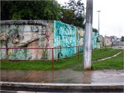 Parintins_04112010-P4110049
