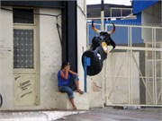 Parintins_04112010-P4110063