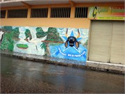 Parintins_04112010-P4110064