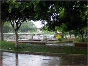Parintins_04112010-P4110067
