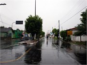 Parintins_04112010-P4110087