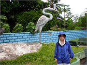 Parintins_04112010-P4110105