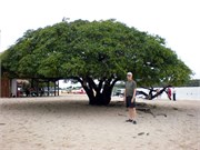 AlterDoChao_04132010-P4120097