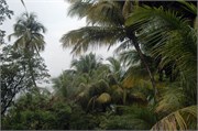 04152010_DevilsIsland-DSC_1224
