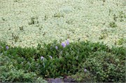 04152010_DevilsIsland-DSC_1279