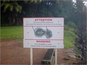 04152010_DevilsIsland-P41500434