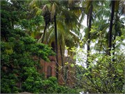 04152010_DevilsIsland-P415009960