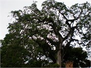 04152010_DevilsIsland-P4150178139