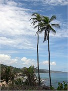 Barbados_04172010-75