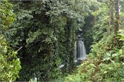 Dominica_04182010-DSC_1590