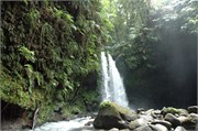Dominica_04182010-DSC_1601