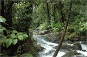 Dominica_04182010-DSC_1613