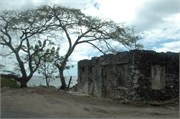 Dominica_04182010-DSC_1627