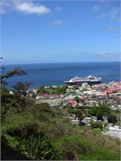 Dominica_04182010-IMG_2695