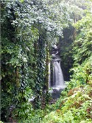 Dominica_04182010-P4180047
