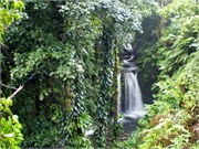 Dominica_04182010-P4180050