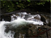 Dominica_04182010-P4180059