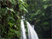 Dominica_04182010-P4180066
