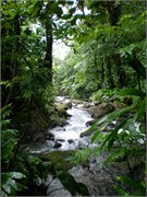 Dominica_04182010-P4180068