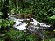 Dominica_04182010-P4180071