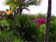 HalfMoonCay_06212010-IMG_2734